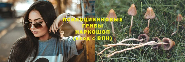кокаин Белокуриха
