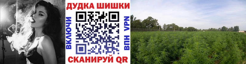 Марихуана индика Троицк